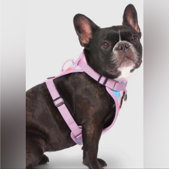 CANADA POOCH harness - Picture 3 of 6